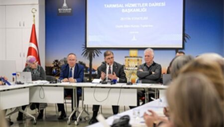 Büyükşehir’den İzmir zeytini için dev adım