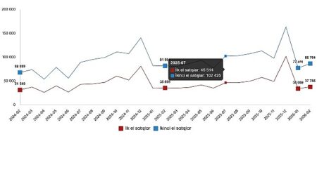 Konut ve İş Yeri Satış İstatistikleri, Şubat 2026