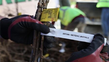 Beydağlı üreticiye çifte destek