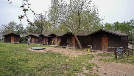 Buca’da doğayla iç içe sosyal hizmet: Dere Kafe