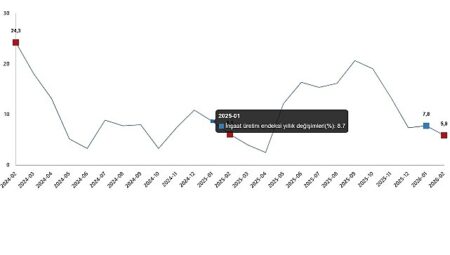 İnşaat Üretim Endeksi, Şubat 2026