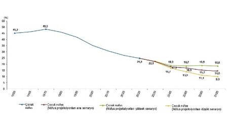 İstatistiklerle Çocuk, 2025